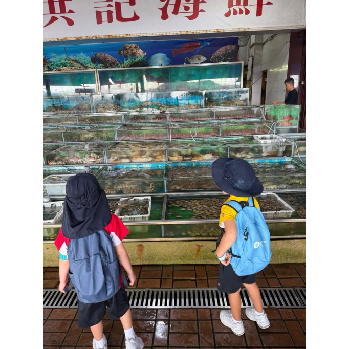 561717926_1136606035278656_560901340680628036_n